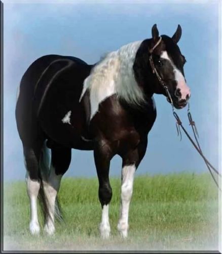 Paintd By Gunsmoke